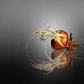 Reflected Onion No. 2