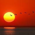 Sailboat at Sunset